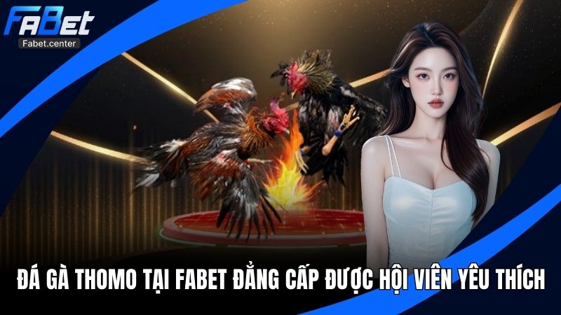 Đá Gà Thomo Tại Fabet