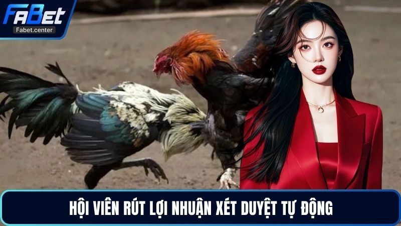 Hội viên rút lợi nhuận xét duyệt tự động