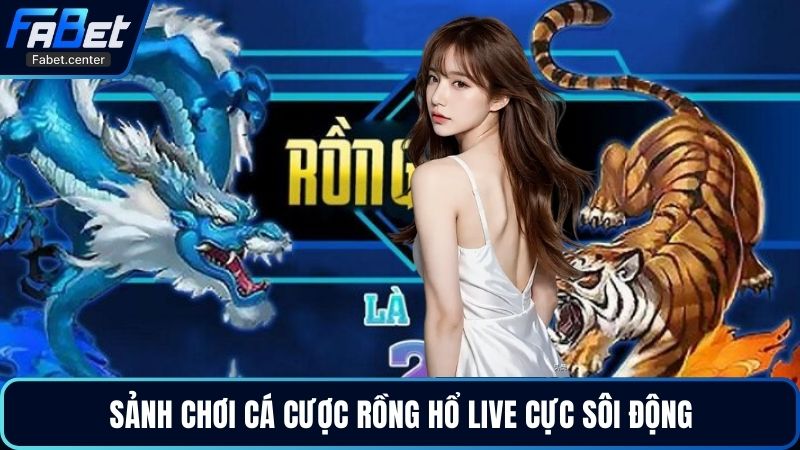 Sảnh chơi cá cược rồng hổ live cực sôi động